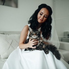 невеста с котом